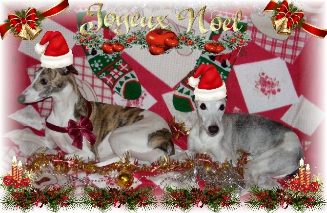 JOYEUX NOEL A TOUS !!!